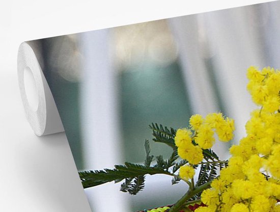 Papier peint vinyle - Un bouquet jaune de fleurs de mimosa largeur 450 cm x hauteur 300 cm - Tirage photo sur papier peint (disponible en 7 tailles)