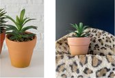 PINA kunstplantje - vetplant in terra cotta pot - interieur accessoire - H15 cm