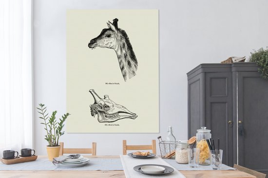 Une illustration de la tête et du crâne d'une girafe sur toile 120x160 cm - Tirage photo sur toile (Décoration murale salon / chambre) XXL / Groot format!