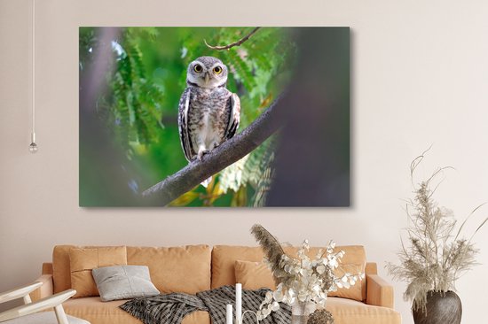 Owl assis sur la branche toile 2cm 150x100 cm - impression photo sur toile peinture (Décoration murale salon / chambre à coucher) / Animaux sauvages Peintures Toile
