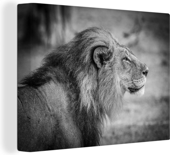 Toile de lion mâle 2cm 160x120 cm - Tirage photo sur toile (Décoration murale salon / chambre) / Animaux sauvages Peintures sur toile XXL / Groot format!