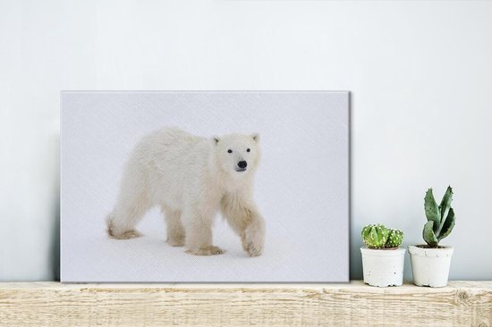 Toile Peinture Ours Polaire - Neige - Wit - 30x20 cm - Décoration murale