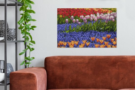Tulipes et jacinthes colorées dans le Keukenhof en Holland méridionale 60x40 cm - Tirage photo sur toile (Décoration murale salon / chambre) / Peintures Fleurs sur toile