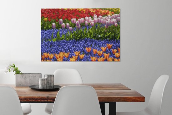 Tulipes et jacinthes colorées dans le Keukenhof en Holland méridionale 60x40 cm - Tirage photo sur toile (Décoration murale salon / chambre) / Peintures Fleurs sur toile