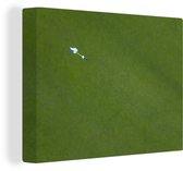 Toile de golf vue à vol d'oiseau 2cm