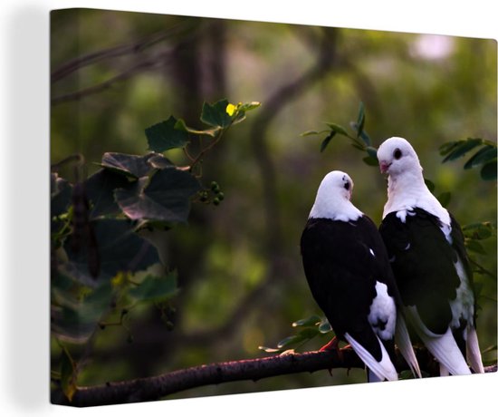 Toile Deux oiseaux sur une branche 2cm 180x120 cm - Tirage photo sur Toile (Décoration murale salon / chambre) / Animaux sauvages Peintures sur toile XXL / Groot format!