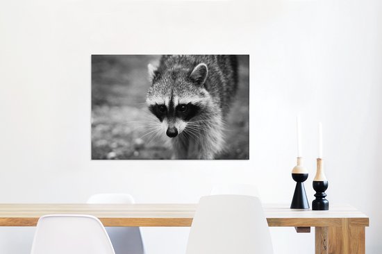Raton laveur à la chasse sur toile 2cm 90x60 cm - Tirage photo sur toile (Décoration murale salon / chambre) / Peintures sur toile animaux sauvages