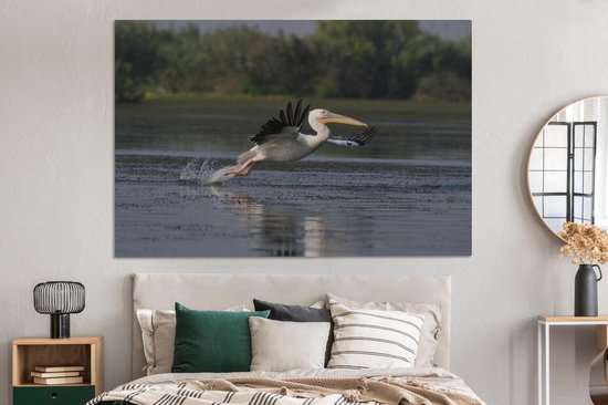 Pelican en Roumanie 180x120 cm - Tirage photo sur Toile (Décoration murale salon / chambre) / Animaux sauvages Peintures sur toile XXL / Groot format!
