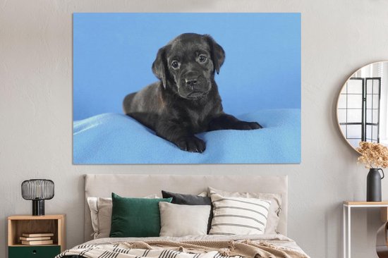 Tableau sur toile Chiot Labrador sur couverture bleue - 150x100 cm - Décoration murale