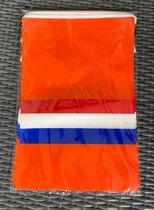 Vlaggenlijn oranje met Nederlandse vlag - 10 meter - 18 grote vierkante vlaggetjes - 23 x 35cm - EK 2020 2021 - voor binnen en buiten