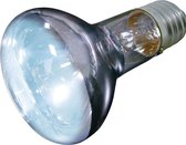 Daglichtlamp Terrarium Daylight Joule - 75 watt
