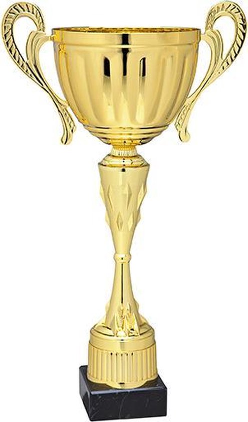 Perfect Factureerbaar Kan weerstaan Trofee beker – Wedstrijdbeker-24,5 cm-cup met oren | bol.com