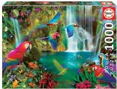 Educa - Puzzle 1000 - Tropical Parrots (018457)