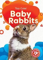 Too Cute!- Baby Rabbits