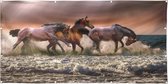 Tuinposter - paarden rennend door water - zon- en waterbestendig - paardenposter - 150x75 cm