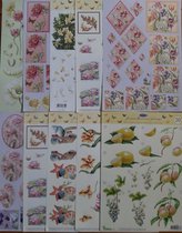 10x Feuilles à découper 3DA4 - Janneke Brinkman - Quelque chose pour tout le monde - Créez de belles cartes et albums de scrapbooking - Le contenu varie selon le paquet