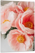 Tuinposter – Roze Bloemen - 80x120cm Foto op Tuinposter  (wanddecoratie voor buiten en binnen)
