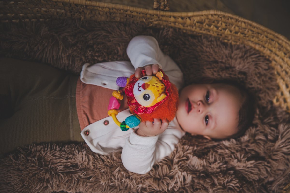 VTech Dierenvriendjes Rammelaar Leeuw - Baby Speelgoed - Bijting - Educatief Baby Speelgoed - Van 3 tot 12 Maanden — afbeelding 3