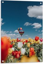 Tuinposter – Luchtballon in Tulpenveld - 60x90cm Foto op Tuinposter  (wanddecoratie voor buiten en binnen)