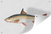 Affiche jardin - Toile jardin - Affiches jardin extérieur - Poisson - Réalisme - Requin - Posters de jardin cm - Jardin