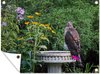 Vogelbadje-tuinposter los doek - 4:3 - 1-2