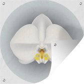 Tuinposters Een illustratie van witte orchideeën - 50x50 cm - Tuindoek - Buitenposter