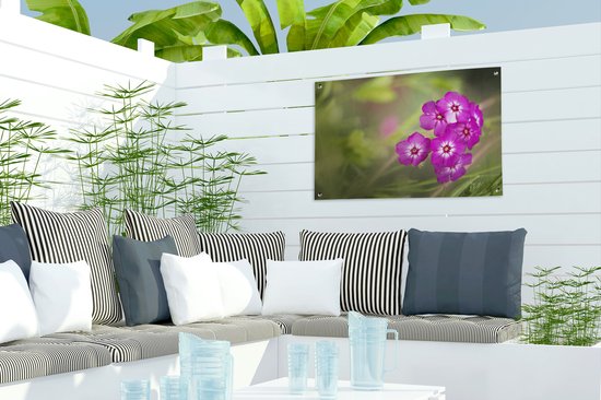 Fleurs de flammes violettes brillantes sur fond vert clair Affiche de jardin 60x40 cm - petite - Toile de jardin / Toile d'extérieur / Peintures pour l'extérieur (décoration de jardin)