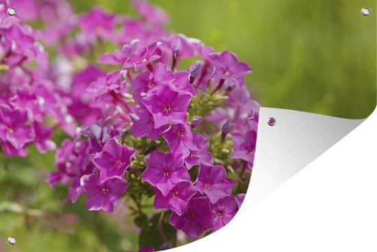 Krans Harry (Zijden bloemen) - Lisa Faber Bloemen en meer