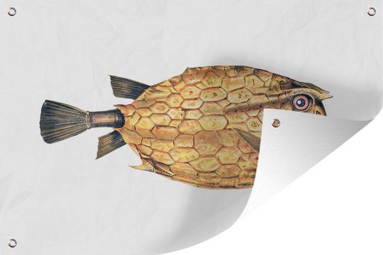 Affiche jardin - Toile jardin - Posters de jardin extérieur - Poisson - Réalisme - Or - 120x80 cm - Jardin