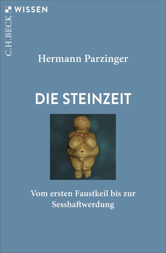 Die Steinzeit - cover