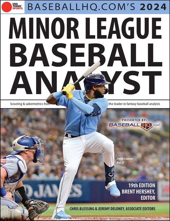2024 Minor League Analyst - cover