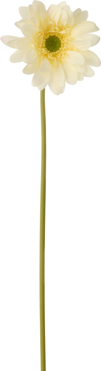 J-Line gerbera Echt Gevoel - kunststof - ecru - 6 stuks Beige