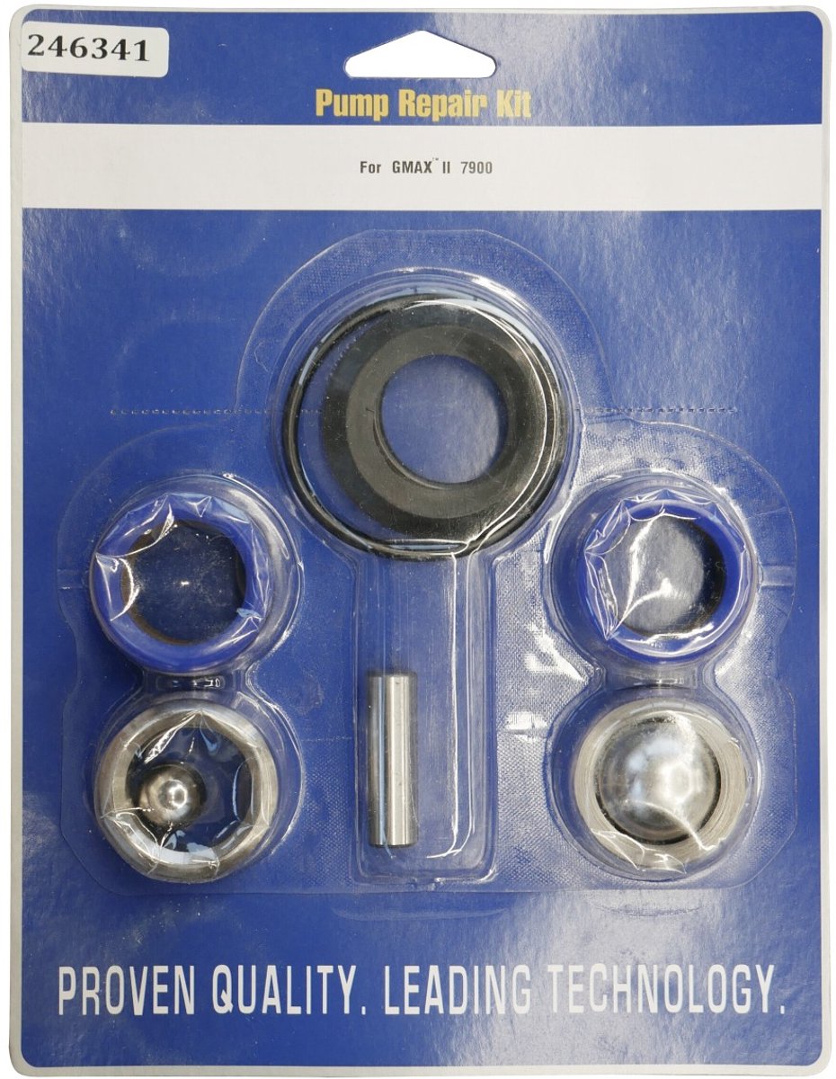 GRACO 246341 - Pomp reparatieset - Pakkingset met klepkogels - Voor GMAX 7900, GH 200/300 en LineLazer 200/250 - Herstelt compressie en aanzuigkracht - Origineel Graco