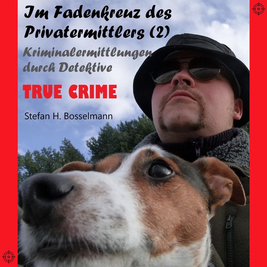 Im Fadenkreuz des Privatermittlers (2) - cover