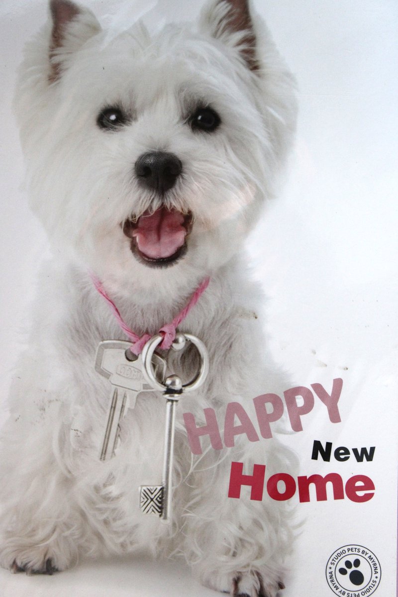 Luxe Wenskaart Nieuwe Woning - New Home - Neues Haus - By Myrna - Hond Pup - 14,5x21cm - Dubbele Kaart - Met Envelop - Luxe Wens Kaart - Greeting Card - 1 Stuks - In Folie Verpakt - Happy New Home- Gratis Verzonden
