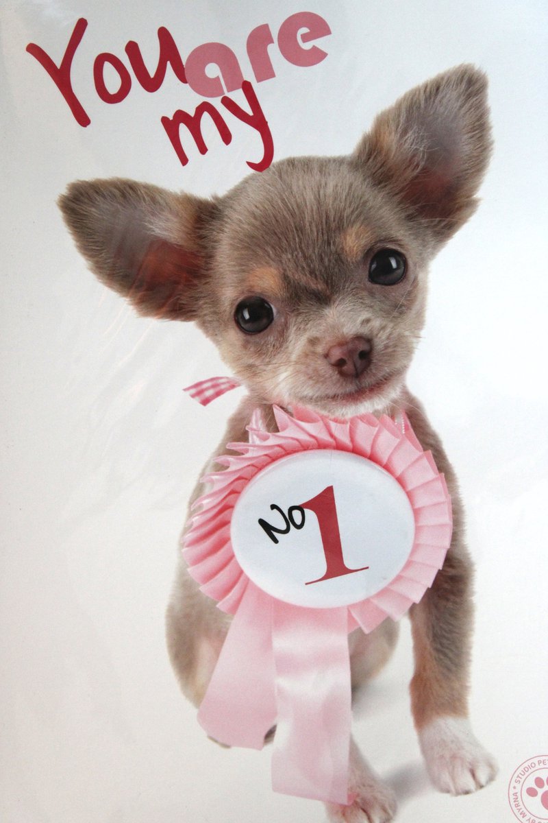 Luxe Wenskaart Liefde - You Are My No1 - You Are My Number One - By Myrna - Hond Pup - 14,5x21cm - Dubbele Kaart - Met Envelop - Luxe Wens Kaart - Greeting Card - 1 Stuks - In Folie Verpakt - Liefde - Love - Gratis Verzonden