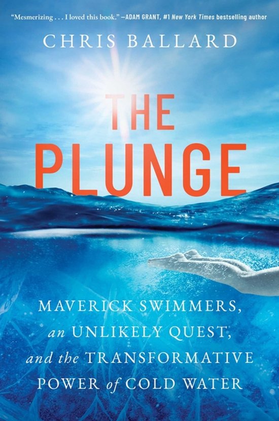 The Plunge - cover