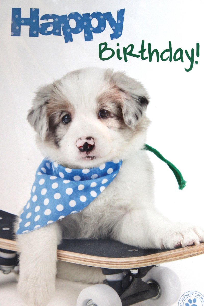 Luxe Wenskaart Verjaardag - Hartelijk Gefeliciteerd - By Myrna - Hond Puppy - 14,5x21cm - Dubbele Kaart - Met Envelop - Luxe Wens Kaart - Greeting Card - 1 Stuks - In Folie Verpakt - Birthday - Geburtstag - Anniversaire - Gratis Verzonden
