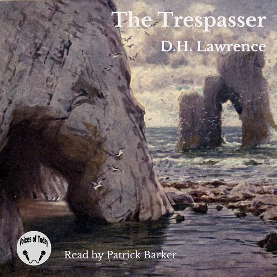 The Trespasser - cover