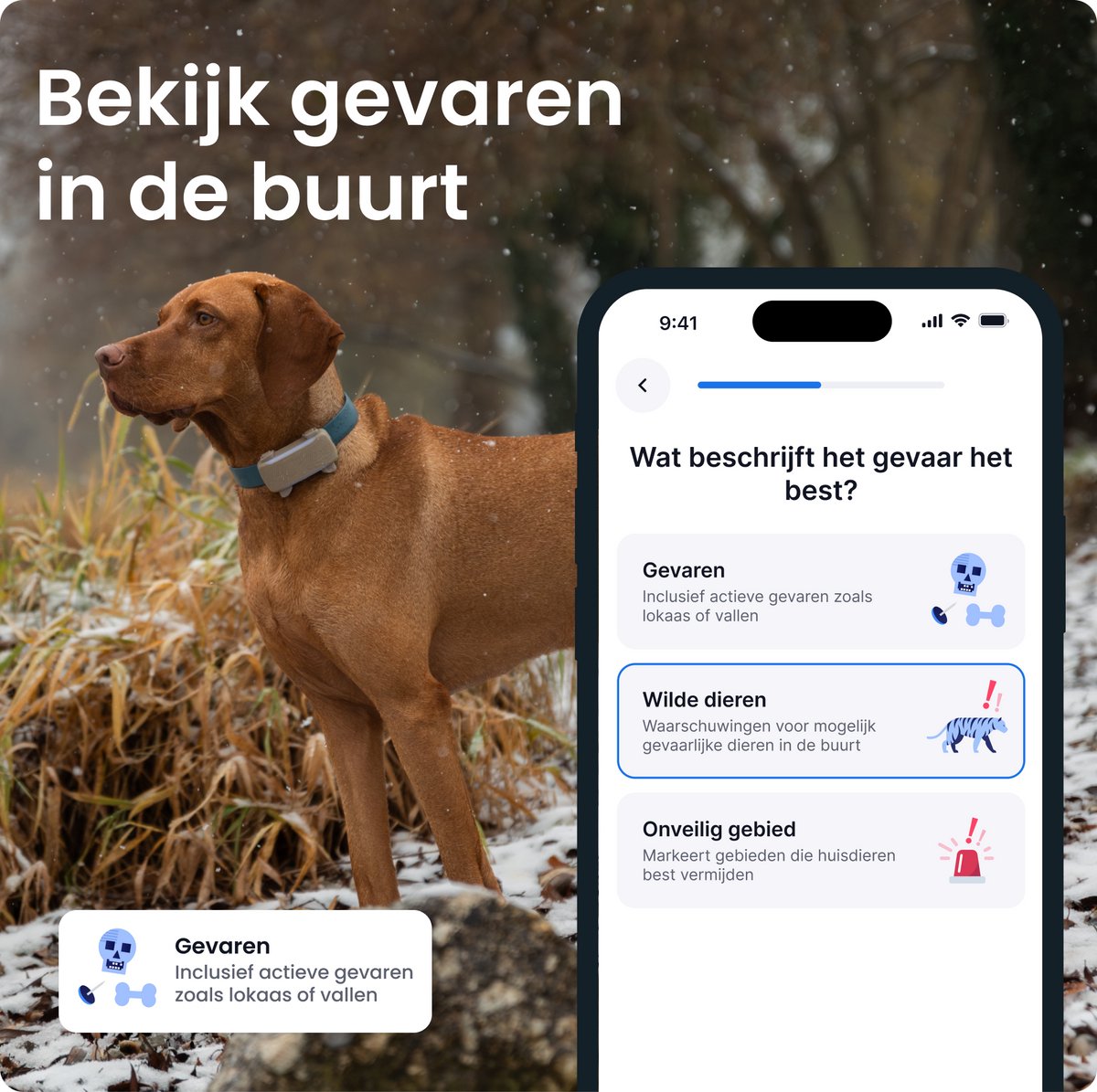 Tractive DOG 6 XL – Slimme gps-tracker voor honden met monitoring van vitale waarden en gezondheidswaarschuwingen, 6 weken batterijduur – Bruin thumbnail 2