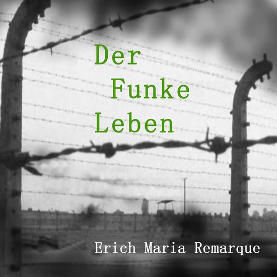 Der Funke Leben - cover