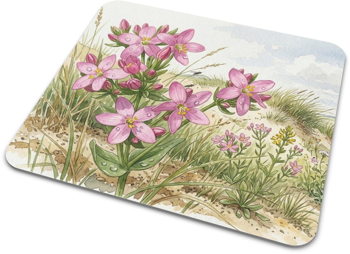 Muismat Echt Duizendguldenkruid Centaurium Erythraea - Aquarel Series - Roze Bloemen Duinlandschap Botanische Print Kantoor Thuiswerkplek Accessoires Cadeau voor haar: Vrouw, Vriendin & Collega Bureaumat - Natuur Illustratie Computermat
