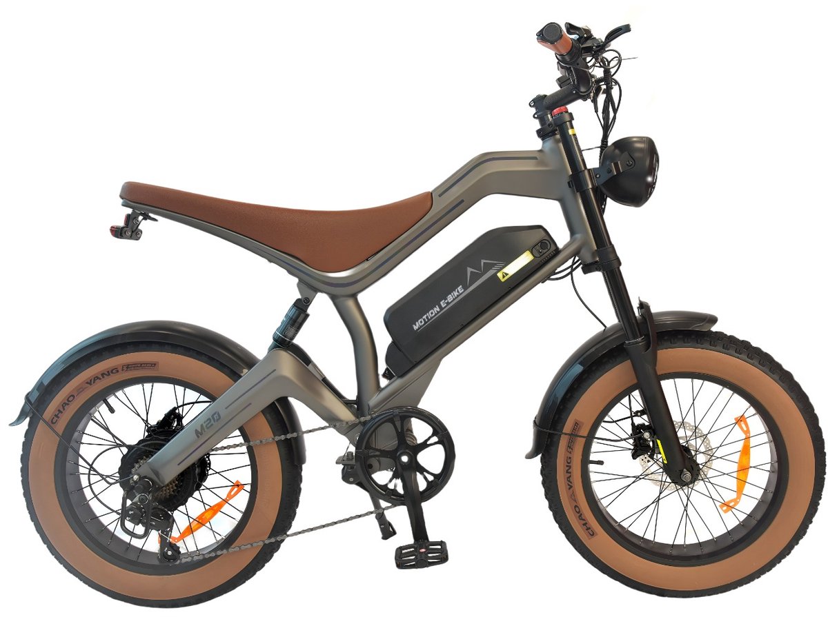 DYU Fatbike elektrische Fiets 20 Inch – 48V 18.2Ah Accu – 750W Motor – Actieradius tot 60 km – Schijfremmen – LCD Display – Unisex