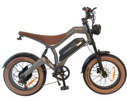 DYU - M20 - Elektrische fatbike - 1000 W+ - 48 V 18,2 Ah - 20 inch