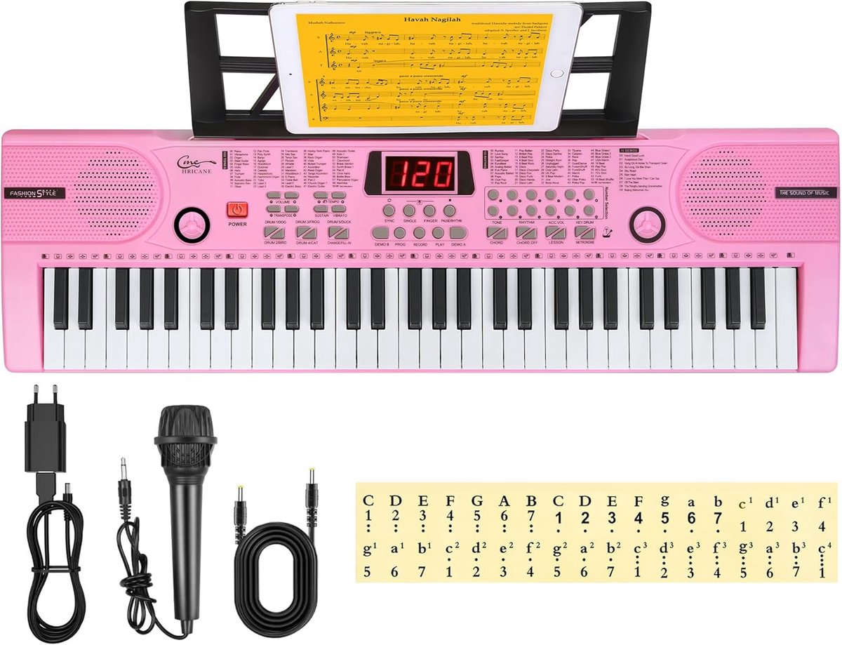 Elektronisch Piano Keyboard voor Kinderen, 61 Toetsen, Draagbaar Muziekinstrument met Microfoon