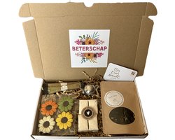 Beterschap brievenbusbox met thee, chocolade en honing