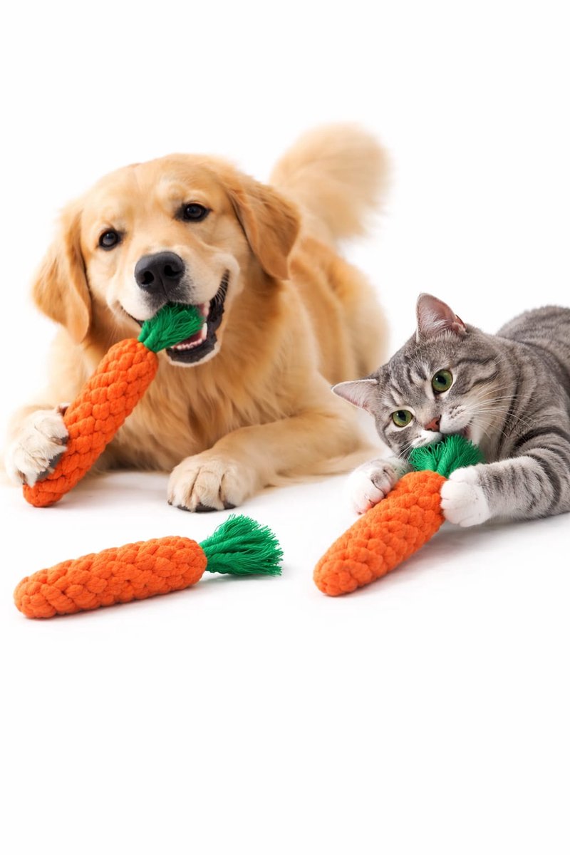 Set van 3 Honden Touwspeelgoed Wortel – Kauwspeeltjes Puppy & Kleine Hond 22cm – Flosdraad Tandverzorging