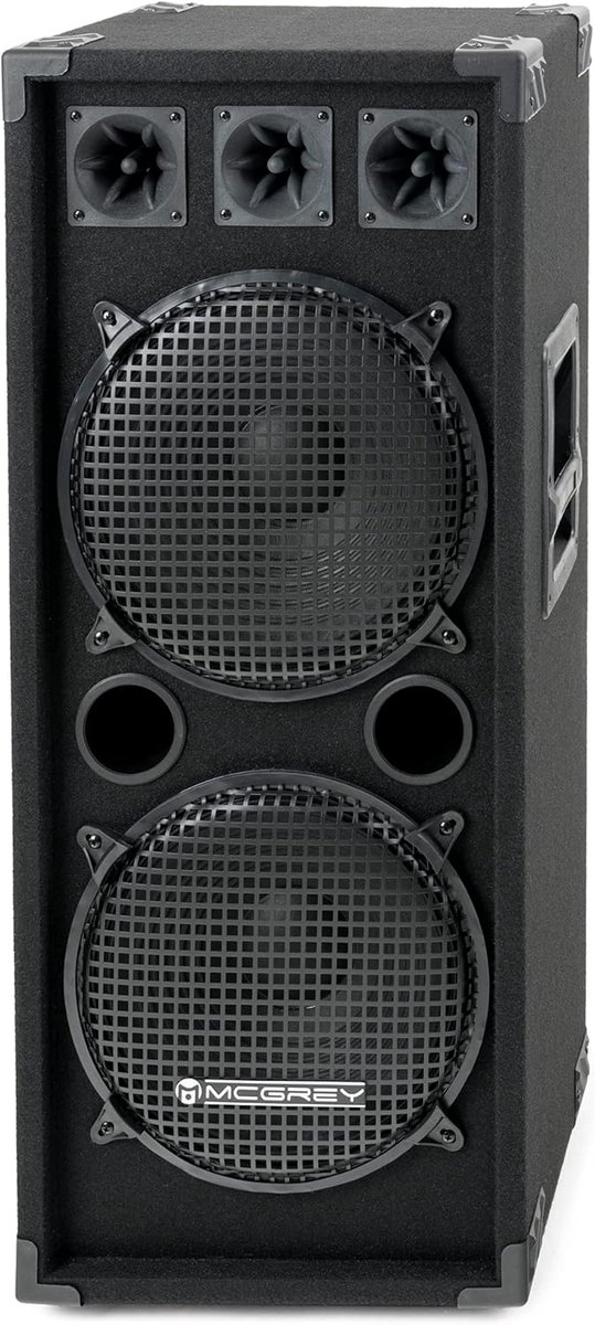 2-laags DJ PA Luidspreker Box met 2x 30cm (12") Subwoofer - 1000W Passief Systeem
