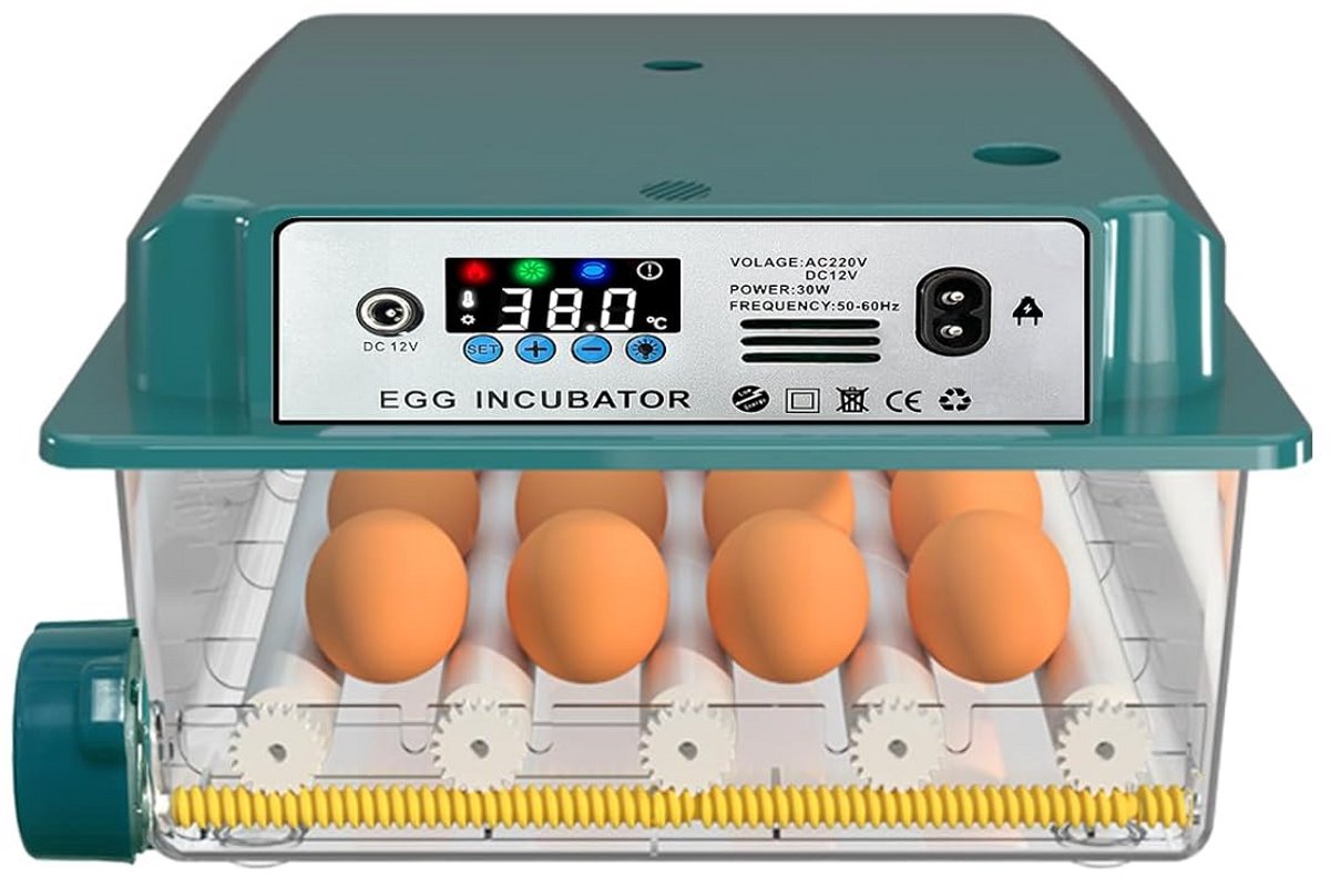 Kwaliteits Incubatoren voor Eieren