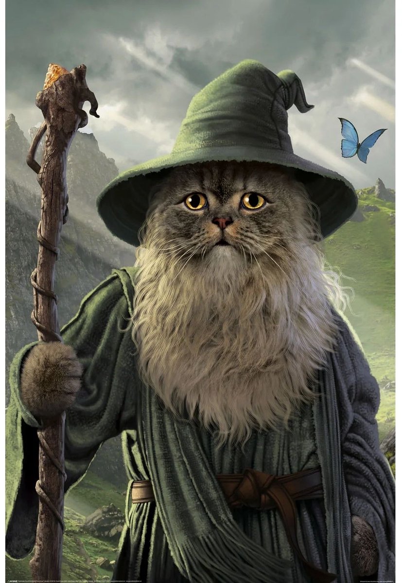 Posterpoint Catdalf poster - Gandalf - Lord of the Rings - Tolkien - 61 x 91.5cm. multi